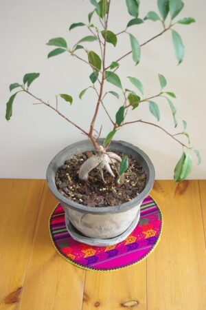 南米ペルーから　伝統柄の鍋敷き　Pot mat with traditional Andean patterns - 画像 (11)